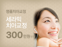 �����ġ�Ʊ��� 300����